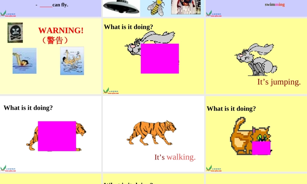 人教PEP版英语五下《unit 5 look at the monkeys》PPT课件之三[www.edudown.net].ppt