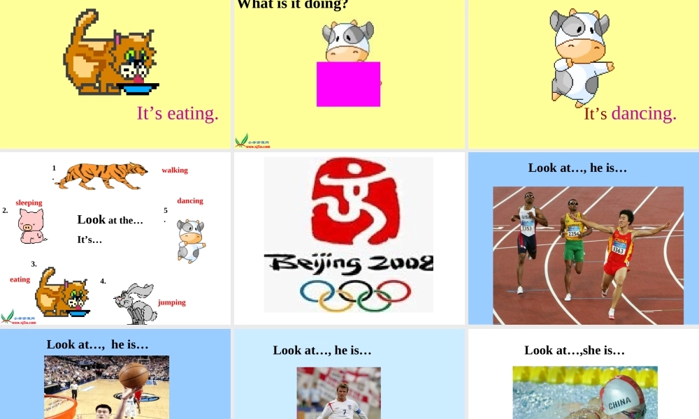 人教PEP版英语五下《unit 5 look at the monkeys》PPT课件之三[www.edudown.net].ppt