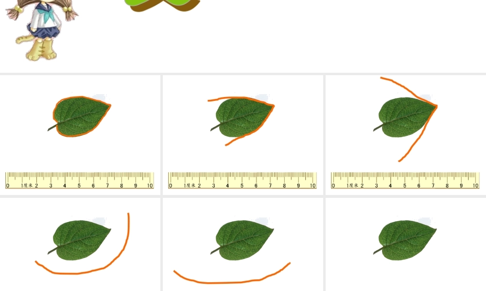 人教版三年级数学上册《认识周长》PPT课件.ppt