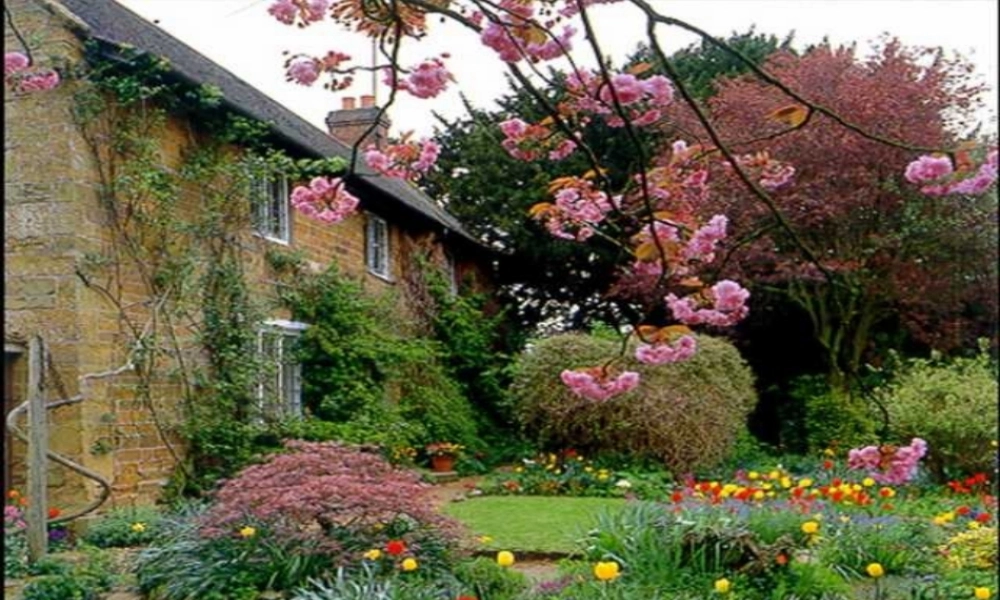 人教版小学六年级上册英语Unit 6第三课时公开课教学PPT课件.ppt