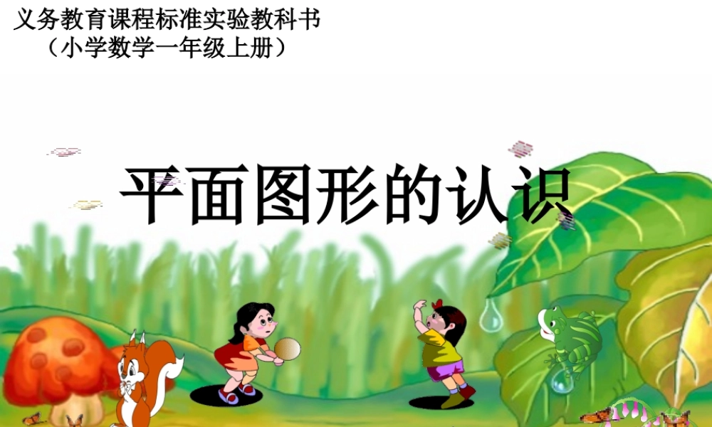 人教版一年级数学上册《认识物体和图形》PPT课件.ppt