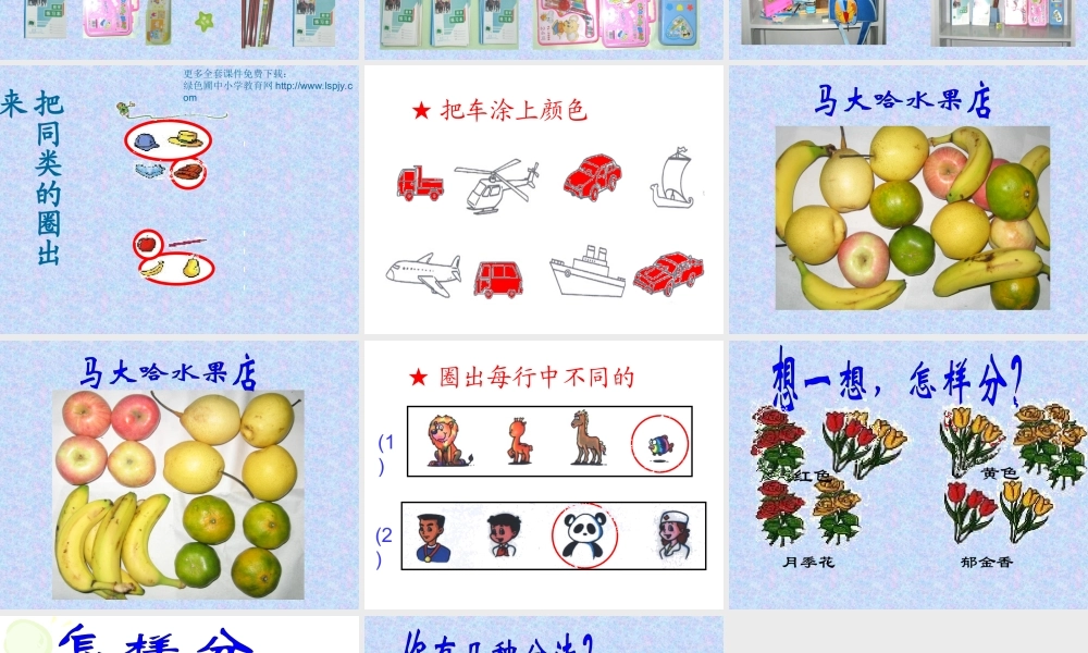 人教版一年级数学上册《分类》PPT课件.ppt