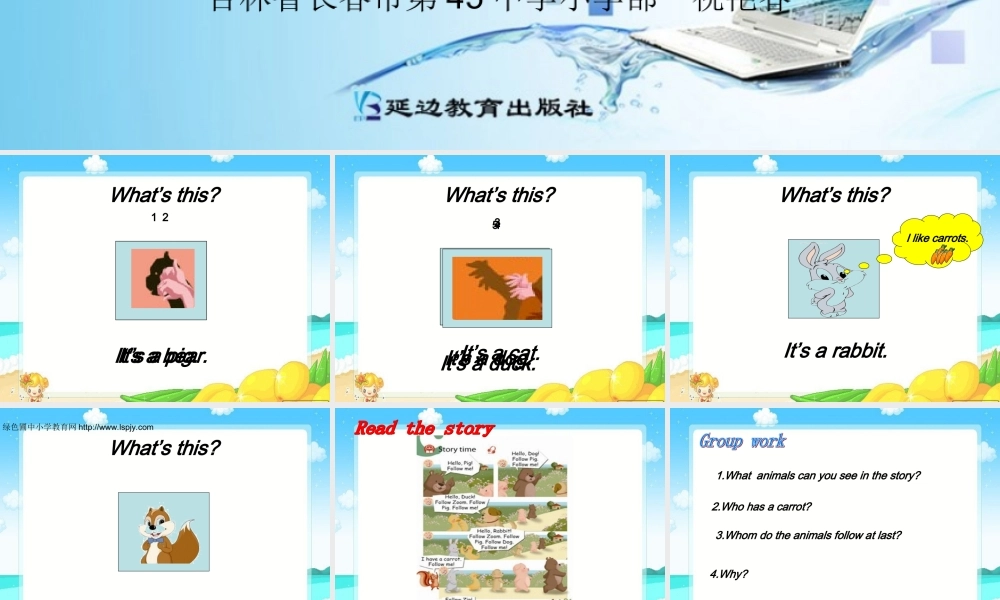 三年级英语上册Unit4 We love animals第六课时.ppt