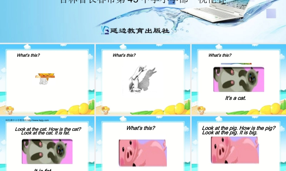 三年级英语上册Unit4 We love animals第二课时.ppt