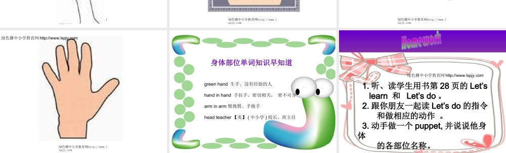 三年级英语上册Unit3 Look at me！第五课时.ppt