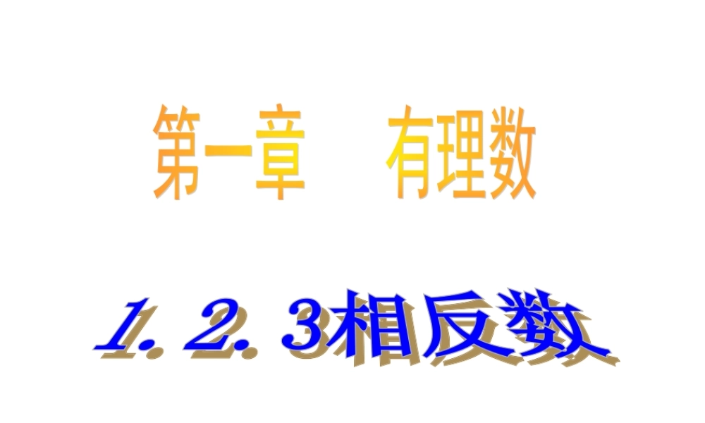 数学：1.2有理数 相反数 课件（人教新课标七年级上）.ppt