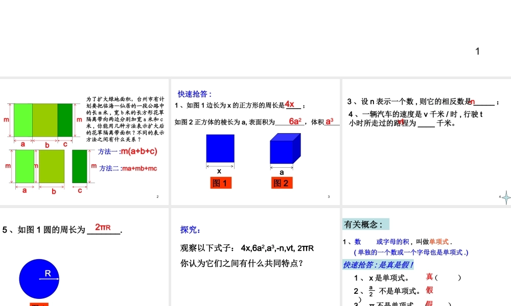 数学：2.1.1整式课件（人教新课标七年级上）.ppt
