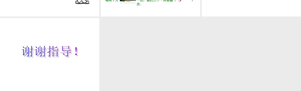 小学三年级上册数学数学广角PPT课件.ppt