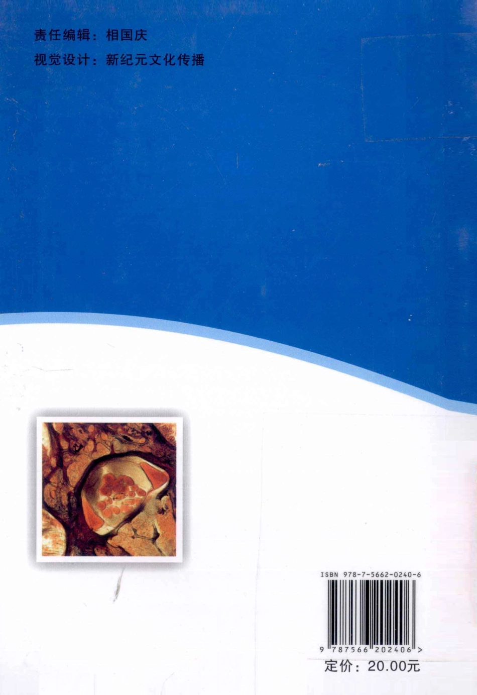 （9）遗传修饰小鼠实用实验技术（【ISBN号】978-7-5662-0240-6）.pdf_第2页