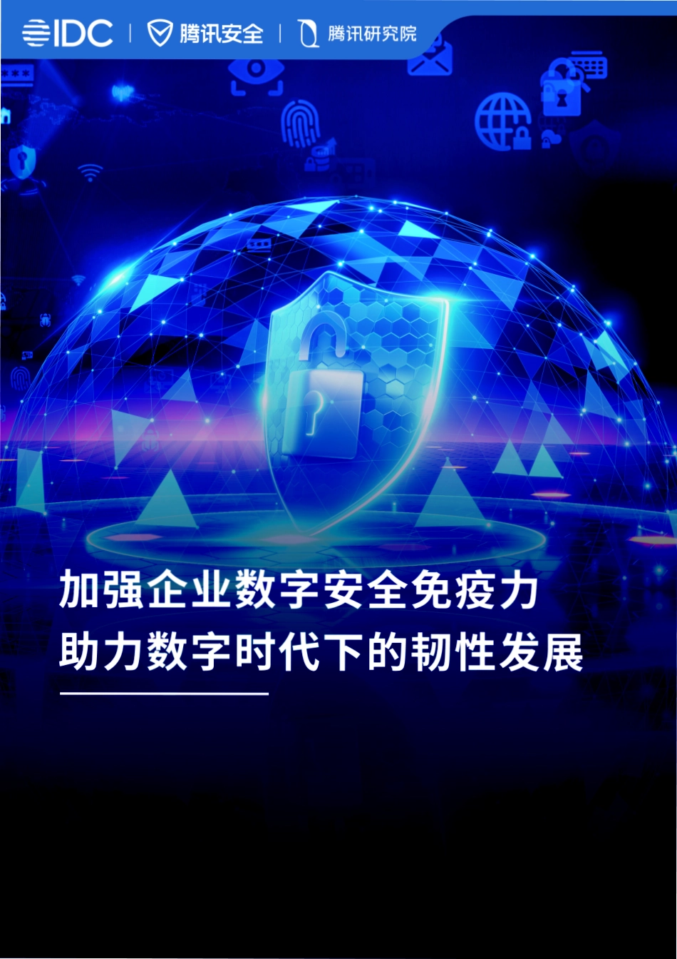 《加强企业数字安全免疫力助力数字时代下的韧性发展》白皮书-41页-WN6.pdf_第1页