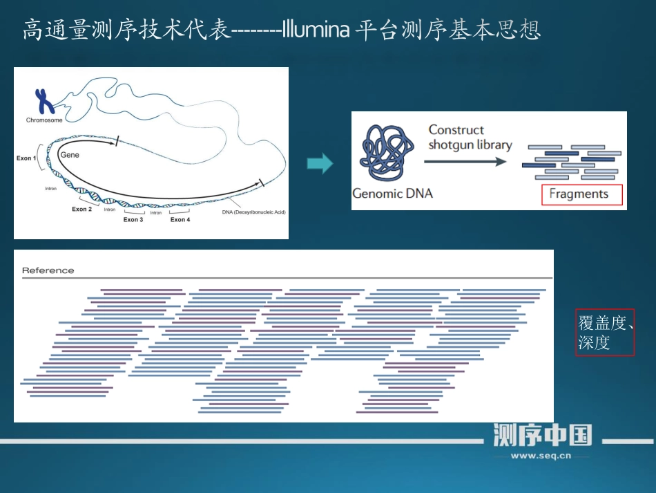 【从零学测序】癌症基因组重测序第三讲(1).pdf_第3页