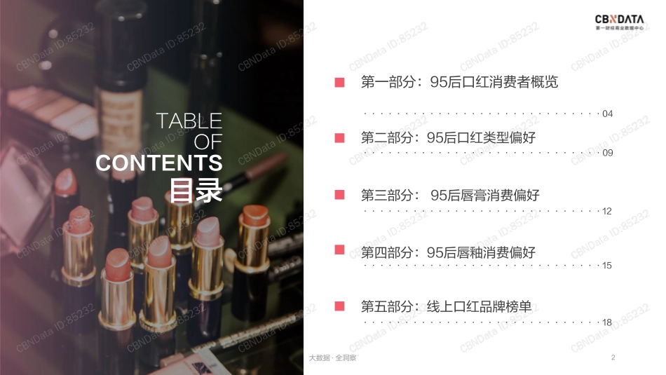【品类-口红】95后线上口红消费研究.pdf_第2页
