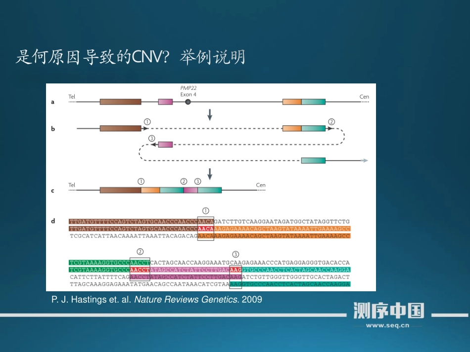 【从零学测序】癌症基因组重测序第五讲(1).pdf_第3页