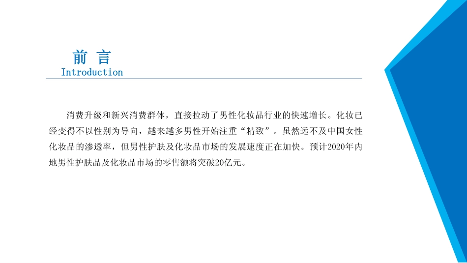 【人群】2020年男士化妆品行业市场发展前景及投资研究报告.pdf_第2页