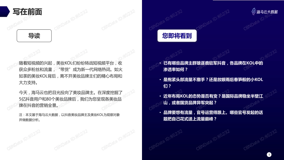 【行业】2019美妆品牌抖音kol营销全景分析—国货品牌的统治级表现.pdf_第2页