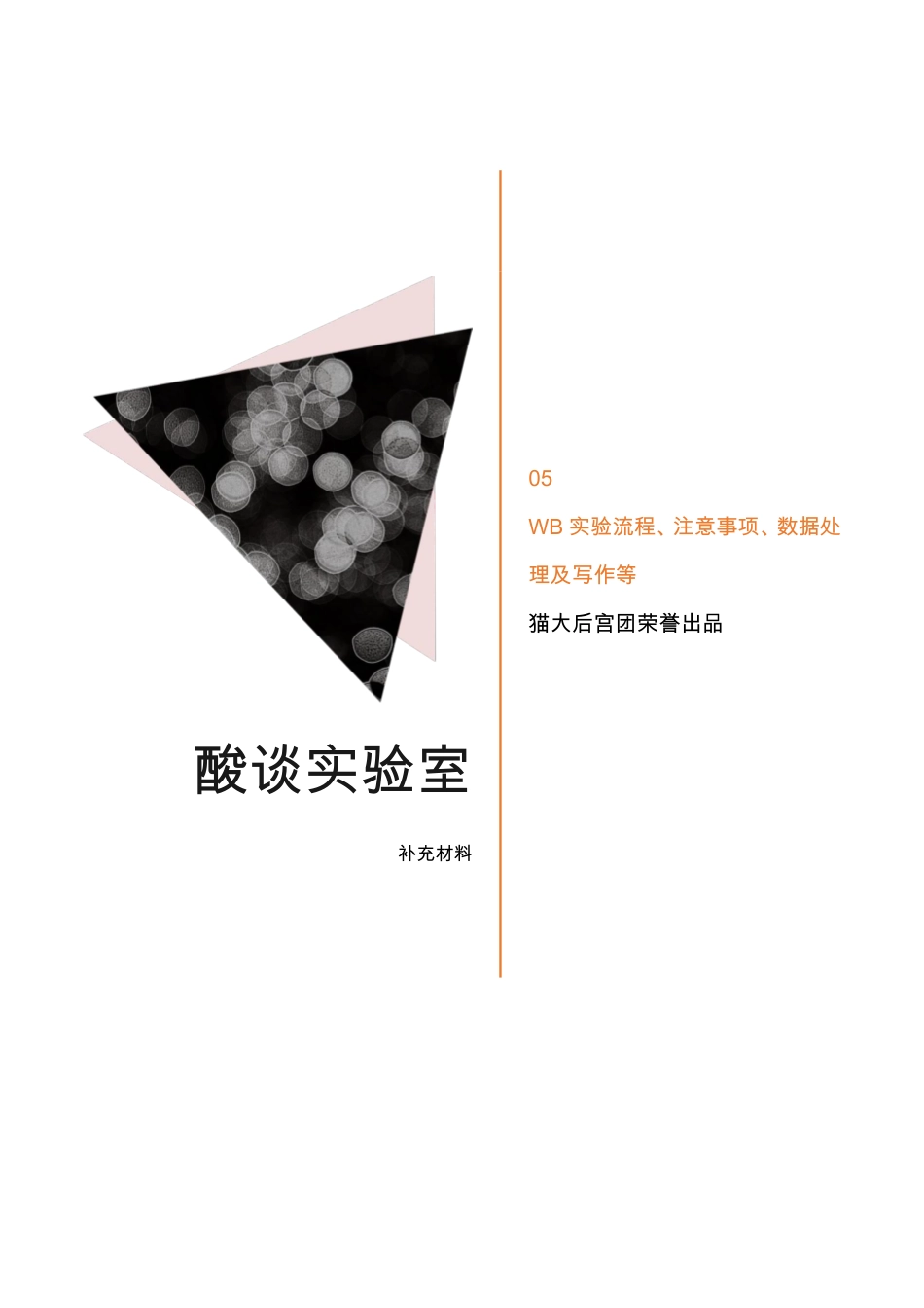 3-3 实验干货.pdf_第1页