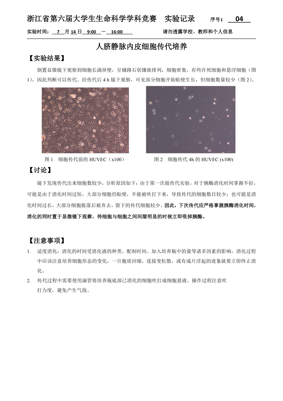 04-0714-实验结果-细胞传代.pdf_第1页
