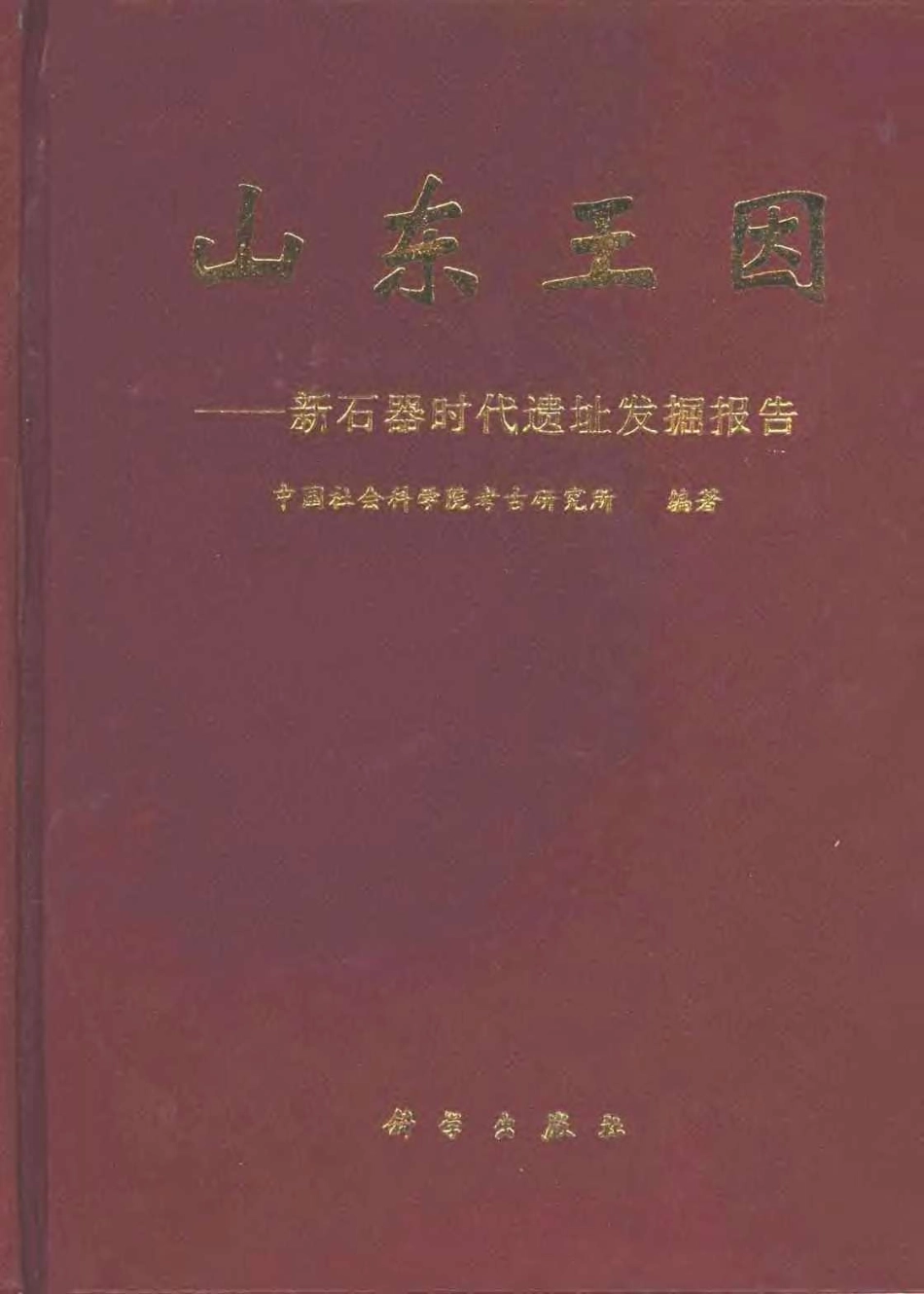 45.丁種第四十五：山东王因 新石器时代遗址发掘报告2000FB.260.29【传送门】.pdf_第1页