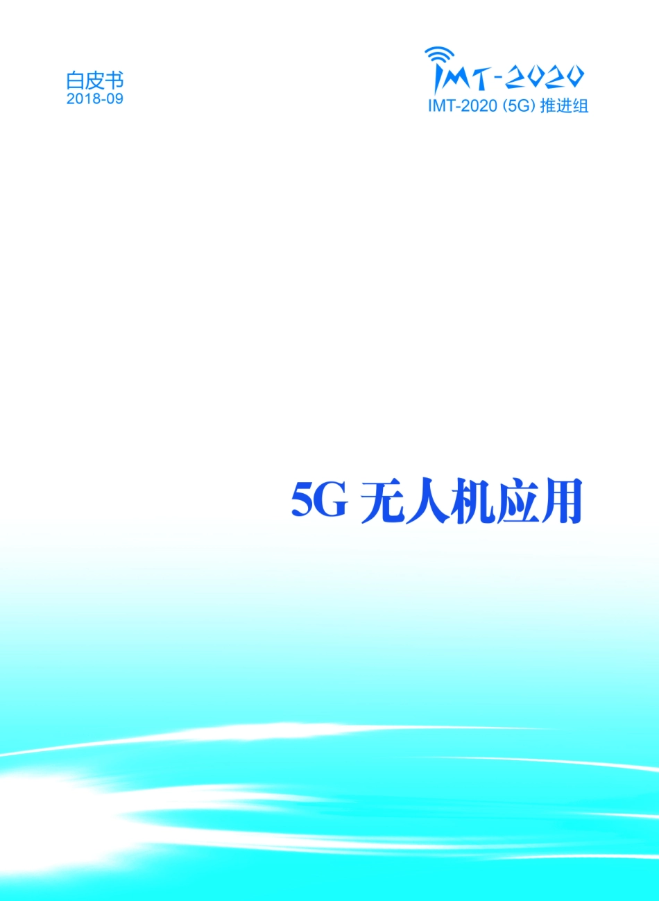 5G无人机应用白皮书.pdf_第1页