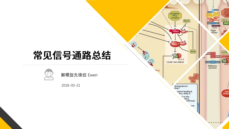 9条常见信号通路的标志物总结(1).pdf_第1页