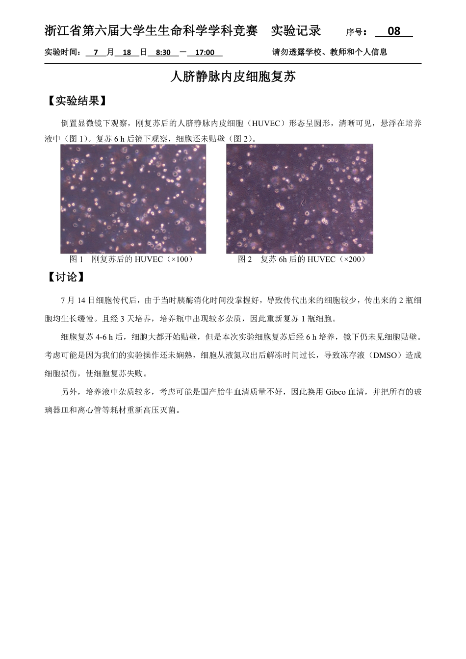 08-0718-实验结果-细胞复苏.pdf_第1页