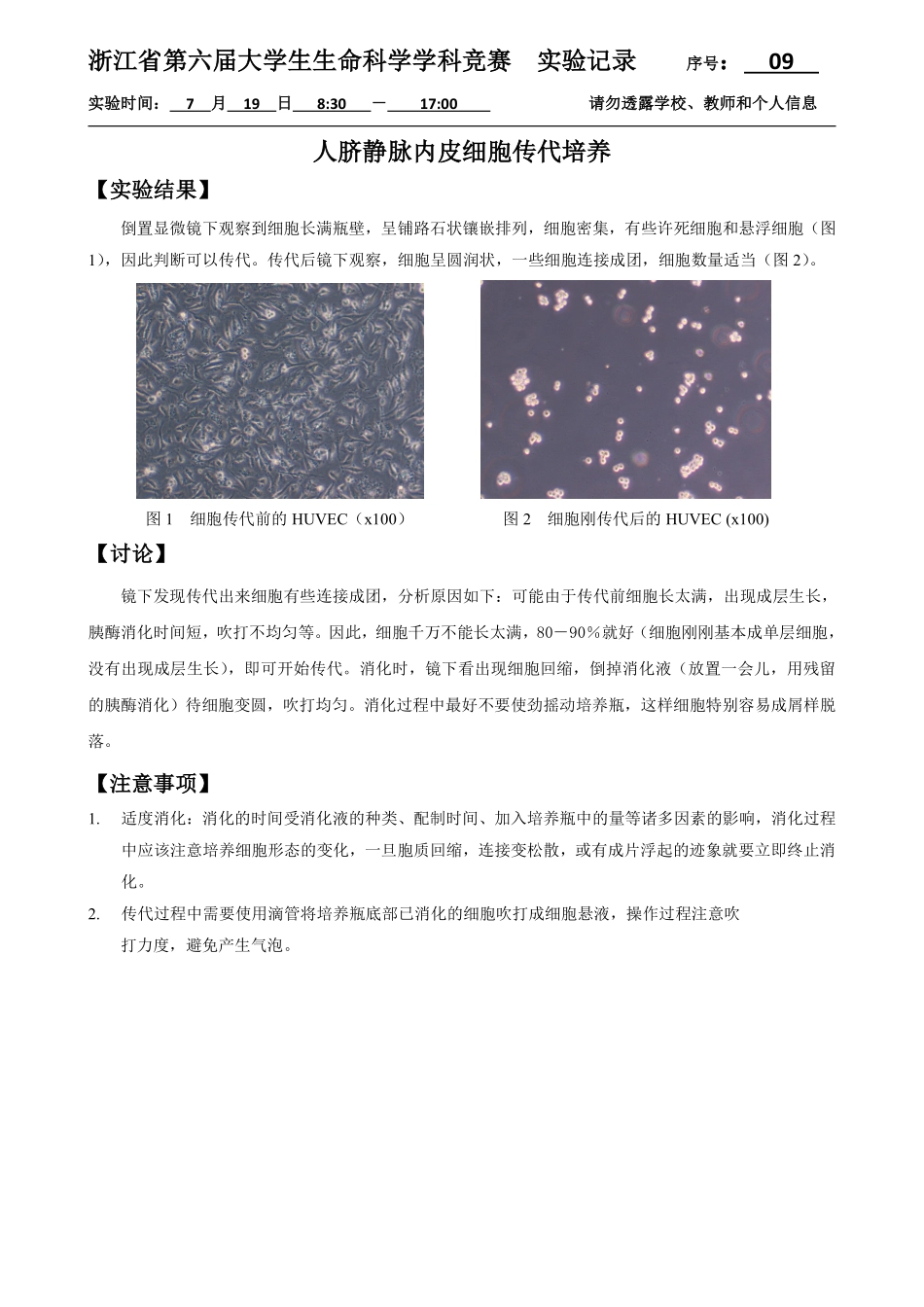 09-0719-实验结果-细胞传代.pdf_第1页