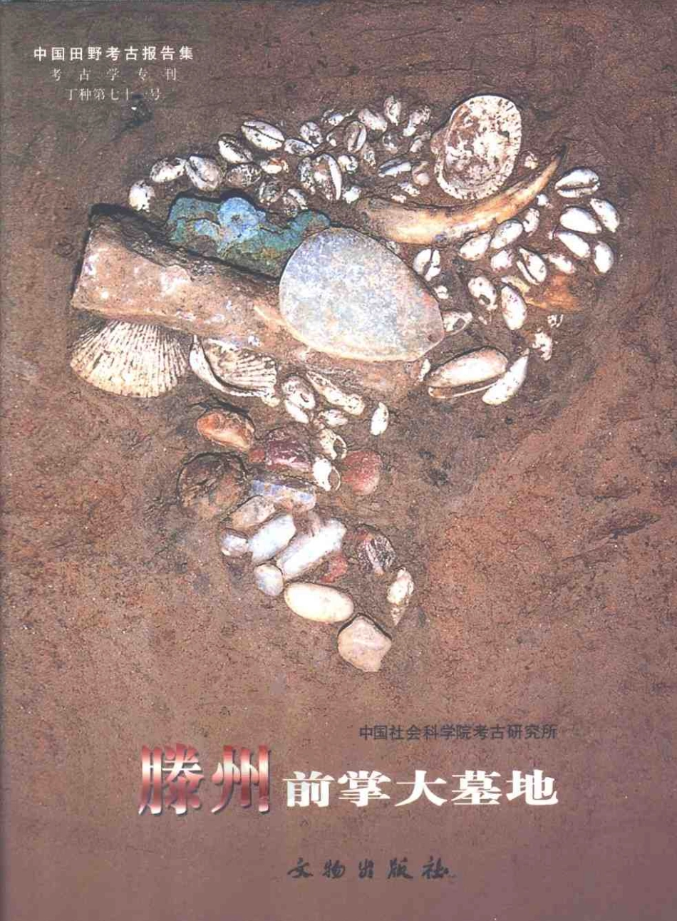 71.丁種第七十一：滕州前掌大墓地【传送门】.pdf_第1页