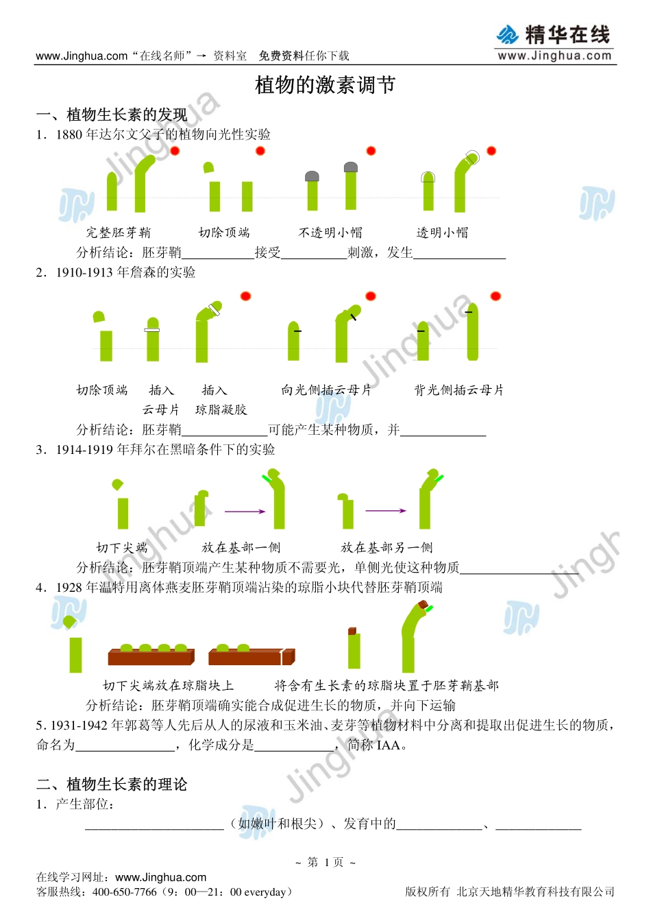 8植物的激素调节(1).pdf_第2页