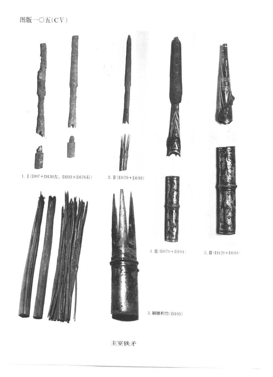 43.丁種第四十三：西汉南越王墓（下册）-03【传送门】.pdf_第3页