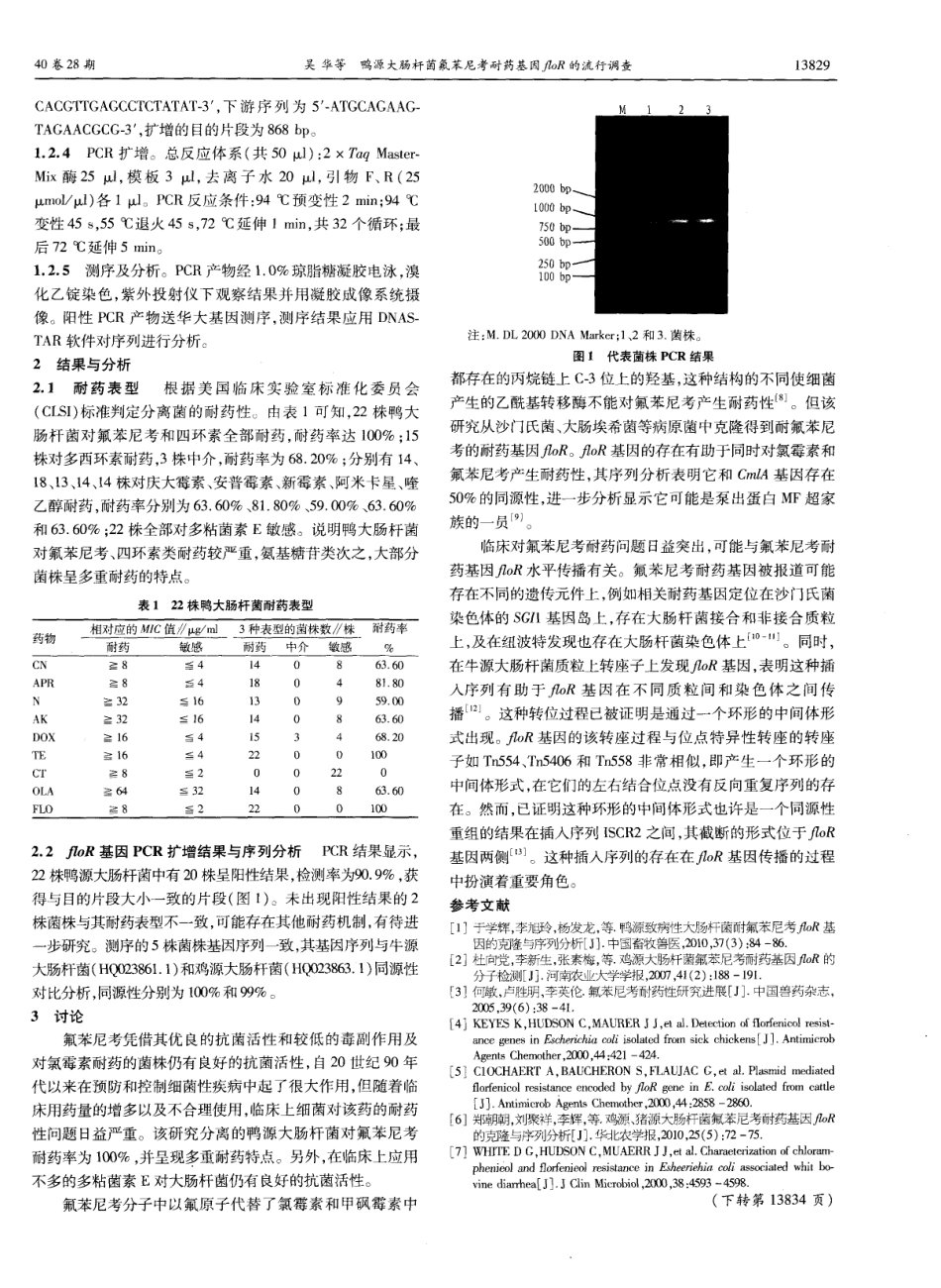 40鸭源大肠杆菌氟苯尼考耐药基因floR的流行调查.pdf_第2页
