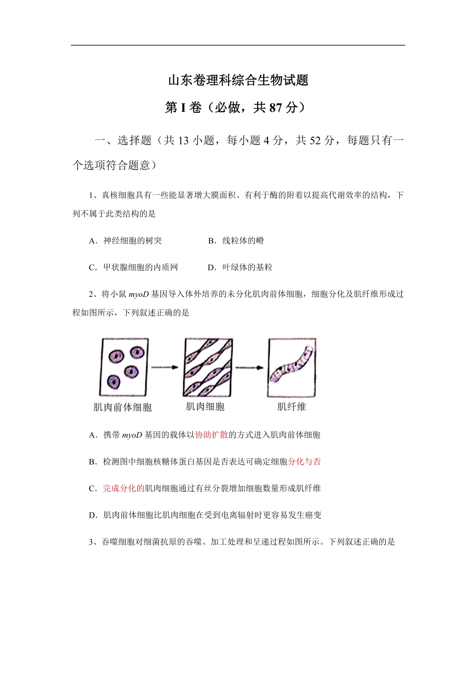 2013年高考真题 生物(山东卷)（原卷版）(1).pdf_第1页
