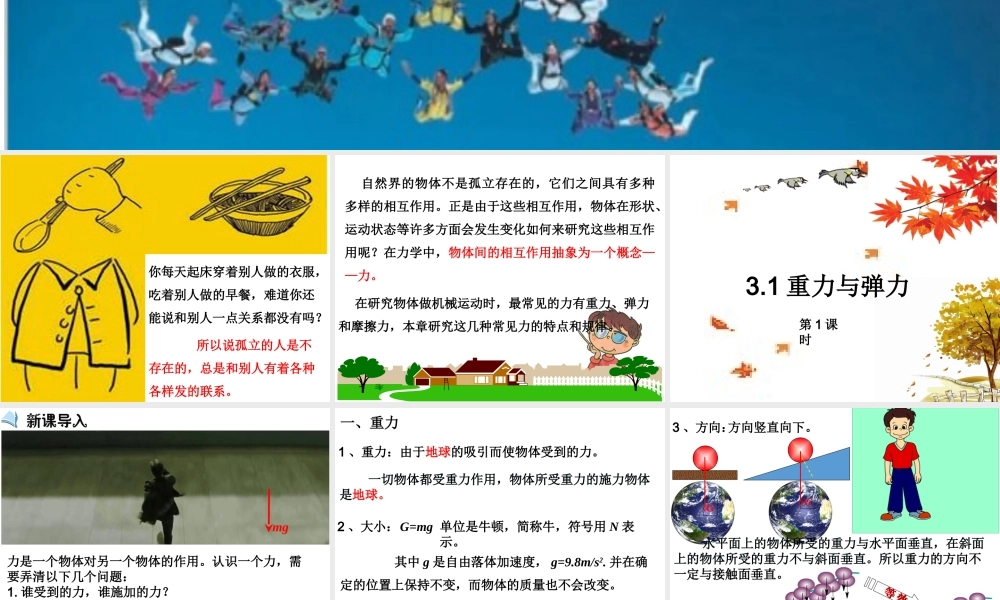 3.1 重力与弹力(第1课时） (共17张PPT).ppt