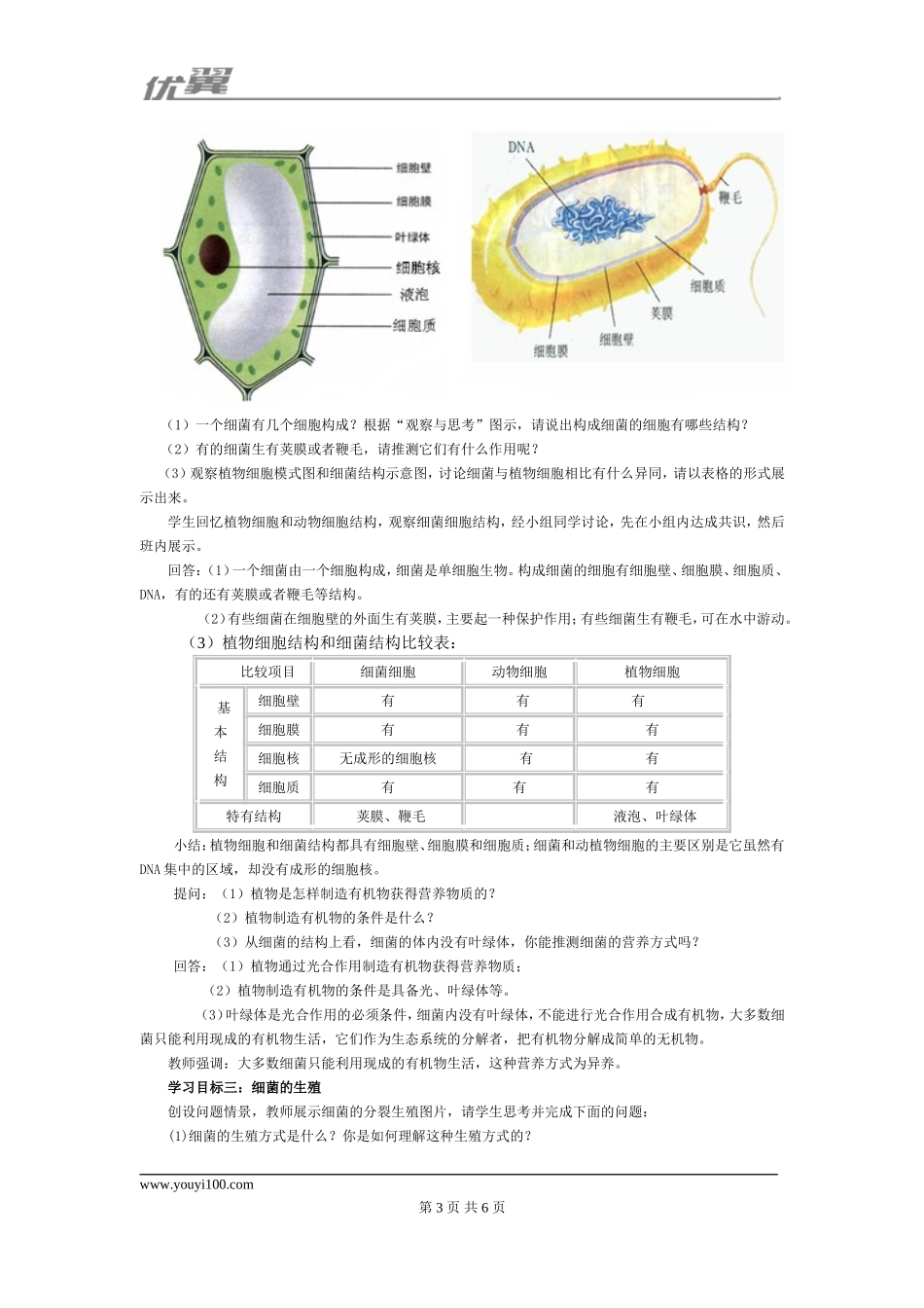 2.第二节细菌【备份1】.doc_第3页