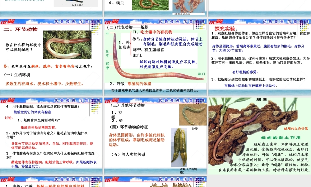 2.第二节线形动物和环节动物.ppt
