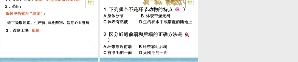 2.第二节线形动物和环节动物.ppt