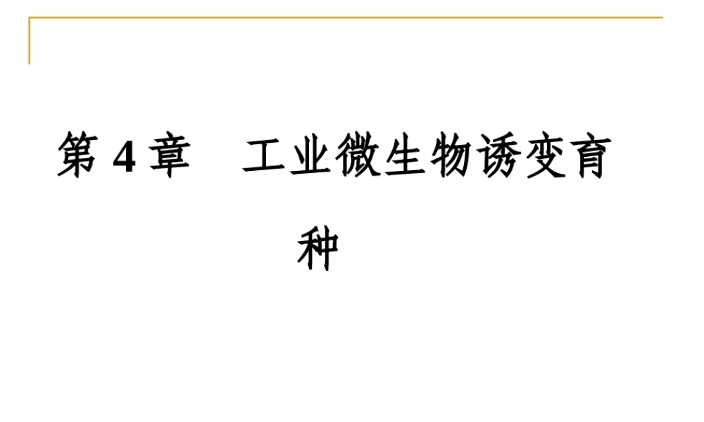 3 工业微生物诱变育种.ppt