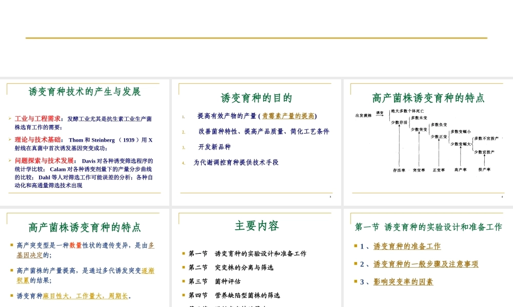 3 工业微生物诱变育种.ppt