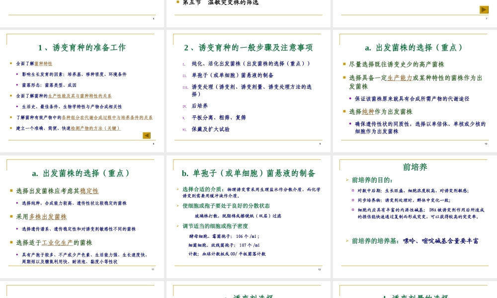 3 工业微生物诱变育种.ppt