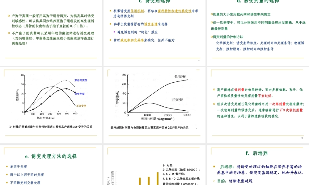 3 工业微生物诱变育种.ppt
