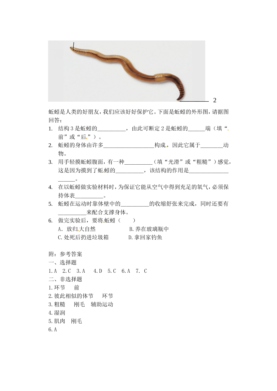 5.1.2线形动物和环节动物环节动物.doc_第2页