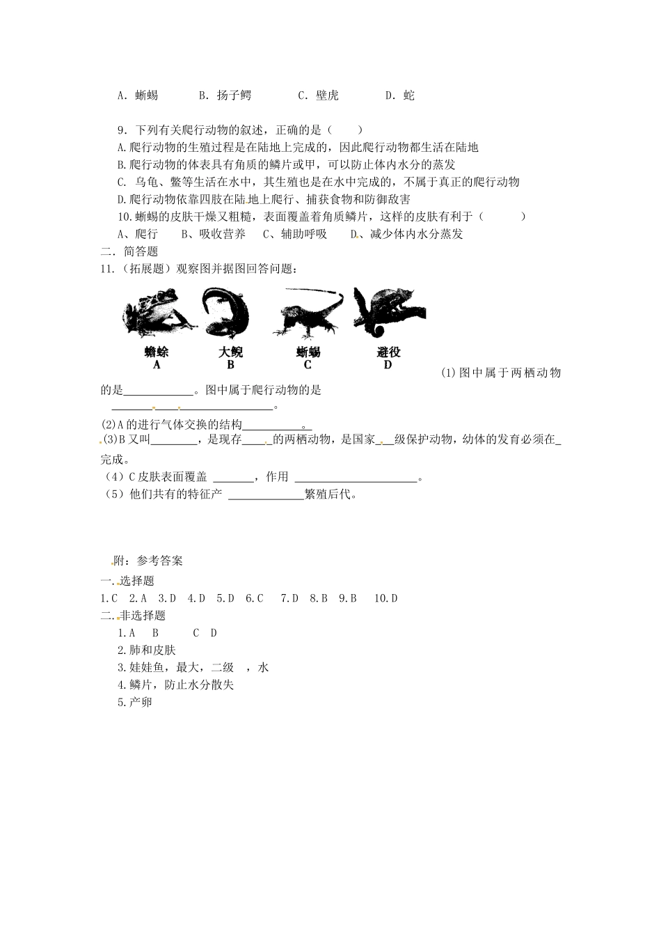 5.1.5两栖动物和爬行动物爬行动物.doc_第2页