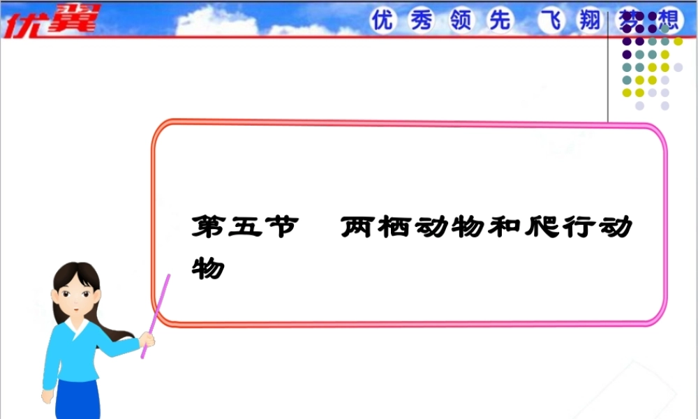 5.第五节两栖动物和爬行动物.ppt