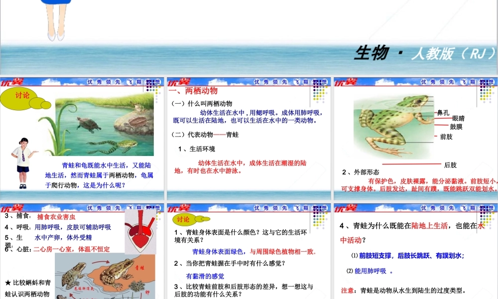 5.第五节两栖动物和爬行动物.ppt