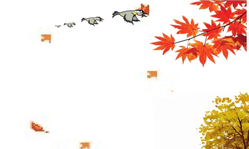 4.3 牛顿第二定律.ppt