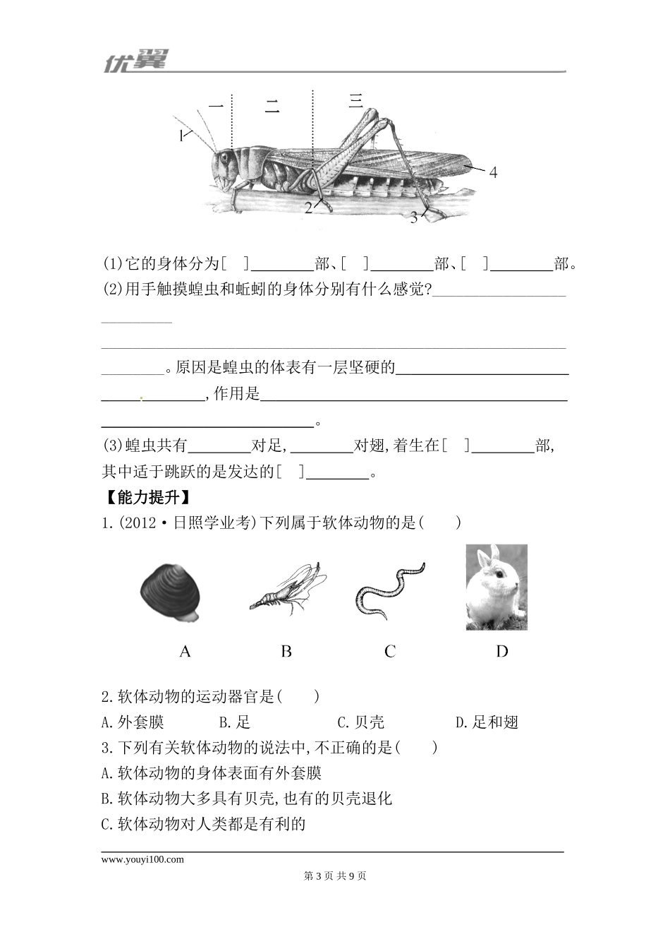 5.1.3 软体动物和节肢动物 每课一练2（新人教版八年级上）.doc_第3页
