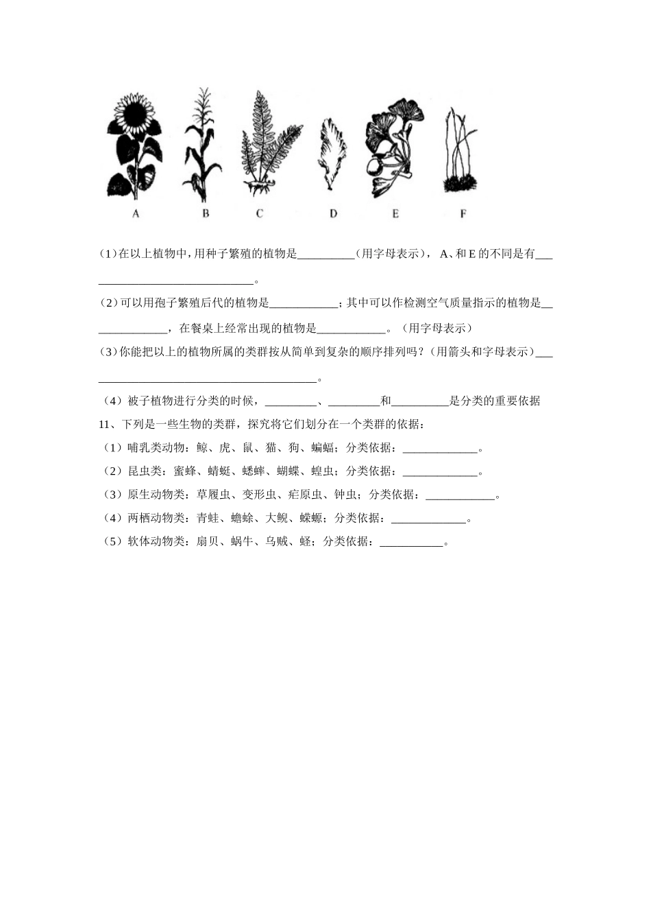 6.1.1《尝试对生物进行分类》习题2 无答案.doc_第3页