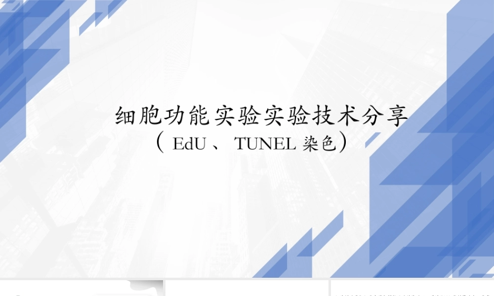 13. EdU染色实验.pptx