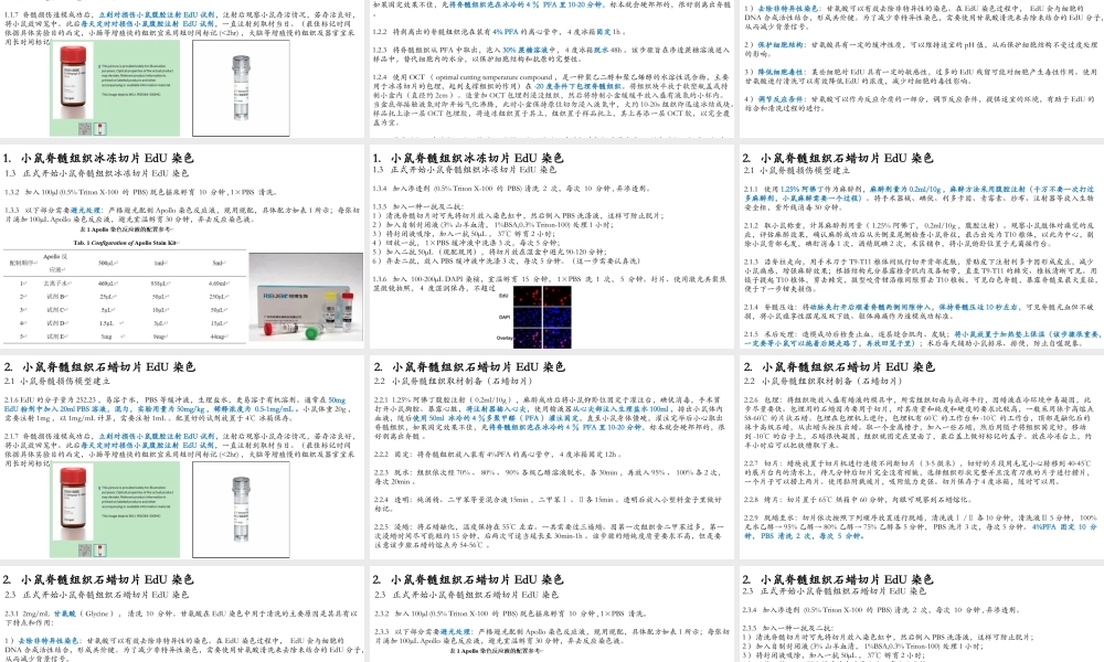 13. EdU染色实验.pptx