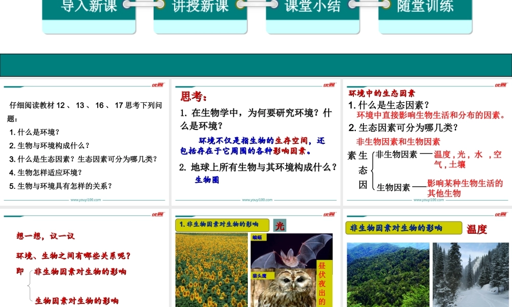 1.第一节生物与环境的关系.ppt