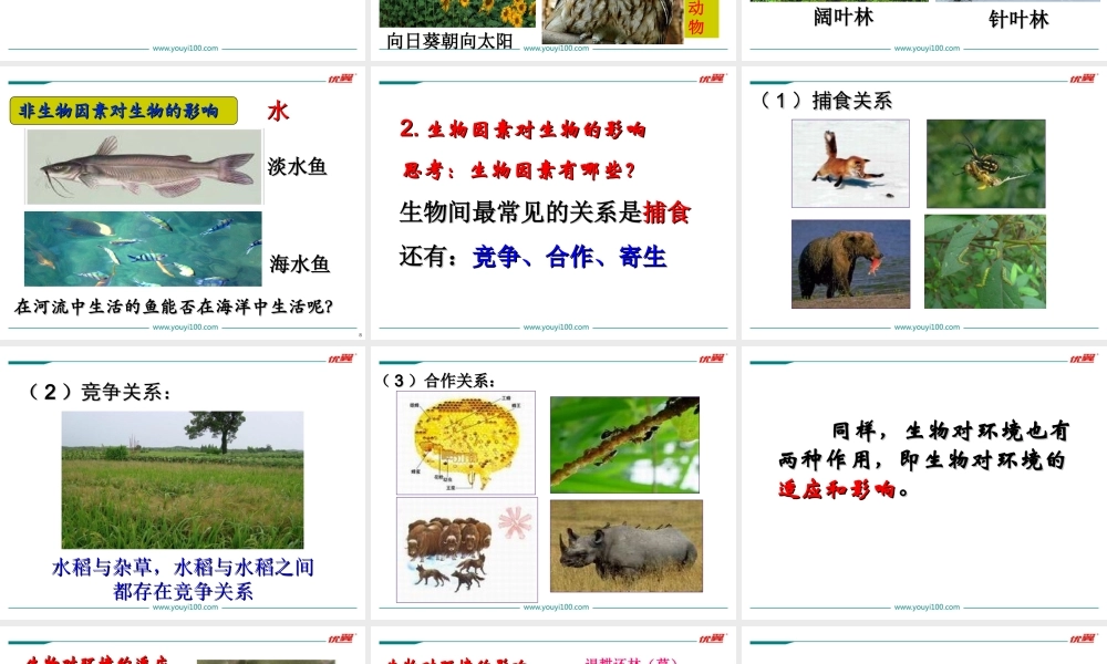 1.第一节生物与环境的关系.ppt